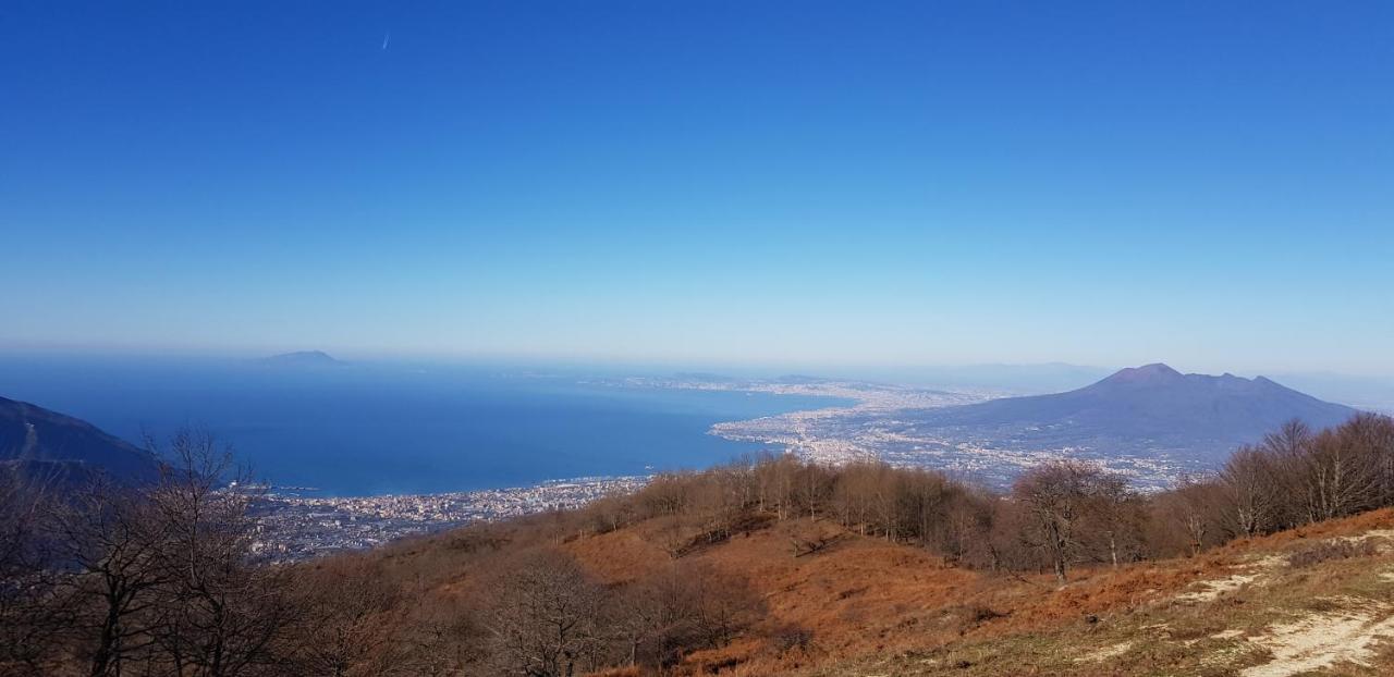 Apicella casa vacanze Villa Tramonti Esterno foto