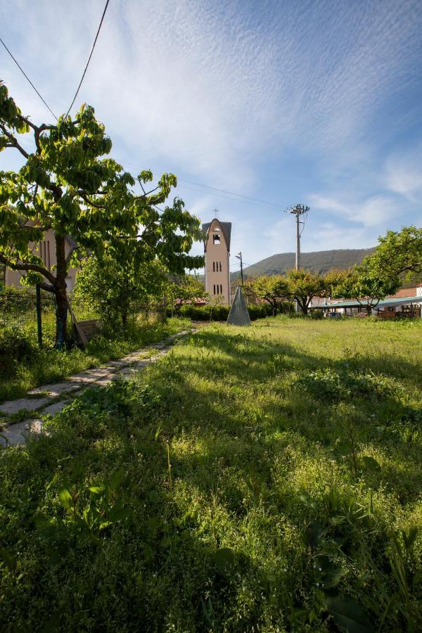 Apicella casa vacanze Villa Tramonti Esterno foto