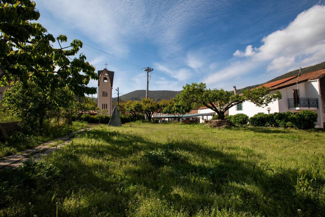 Apicella casa vacanze Villa Tramonti Esterno foto