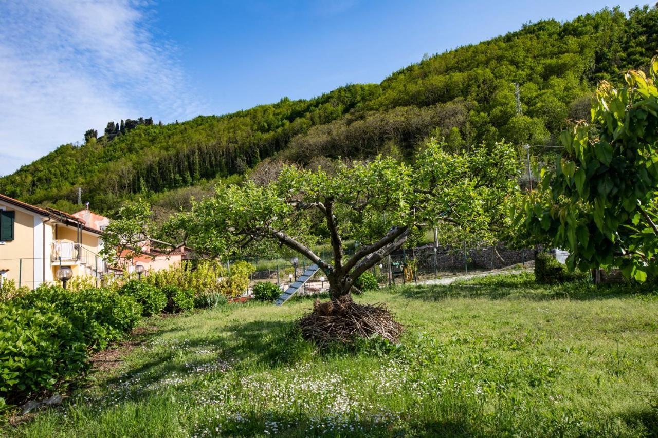 Apicella casa vacanze Villa Tramonti Esterno foto