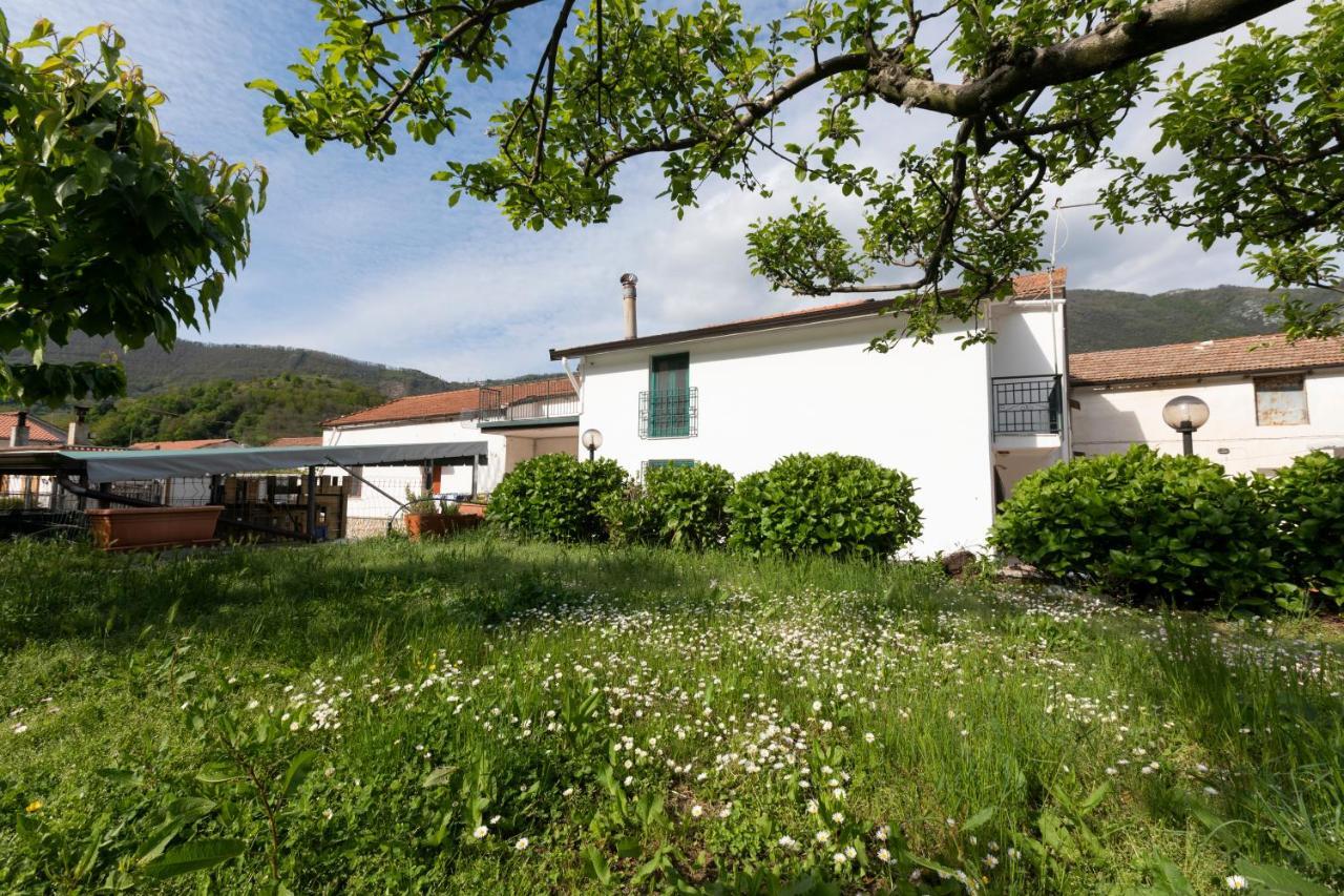 Apicella casa vacanze Villa Tramonti Esterno foto